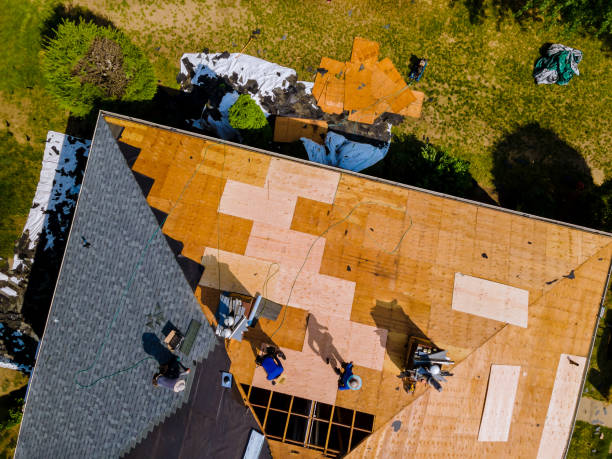 Best Roof Gutter Cleaning  in Lake Landor, VA